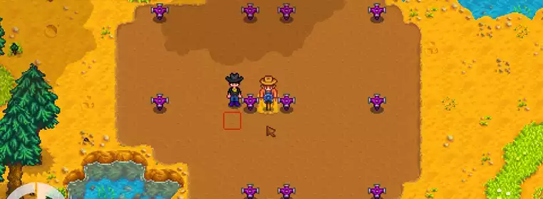 Best Sprinkler layouts in Stardew Valley for your Greenhouse & farm