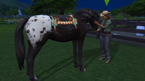 How To Use Horse Ranch Skills Cheats To Level Up & Max Out Horses