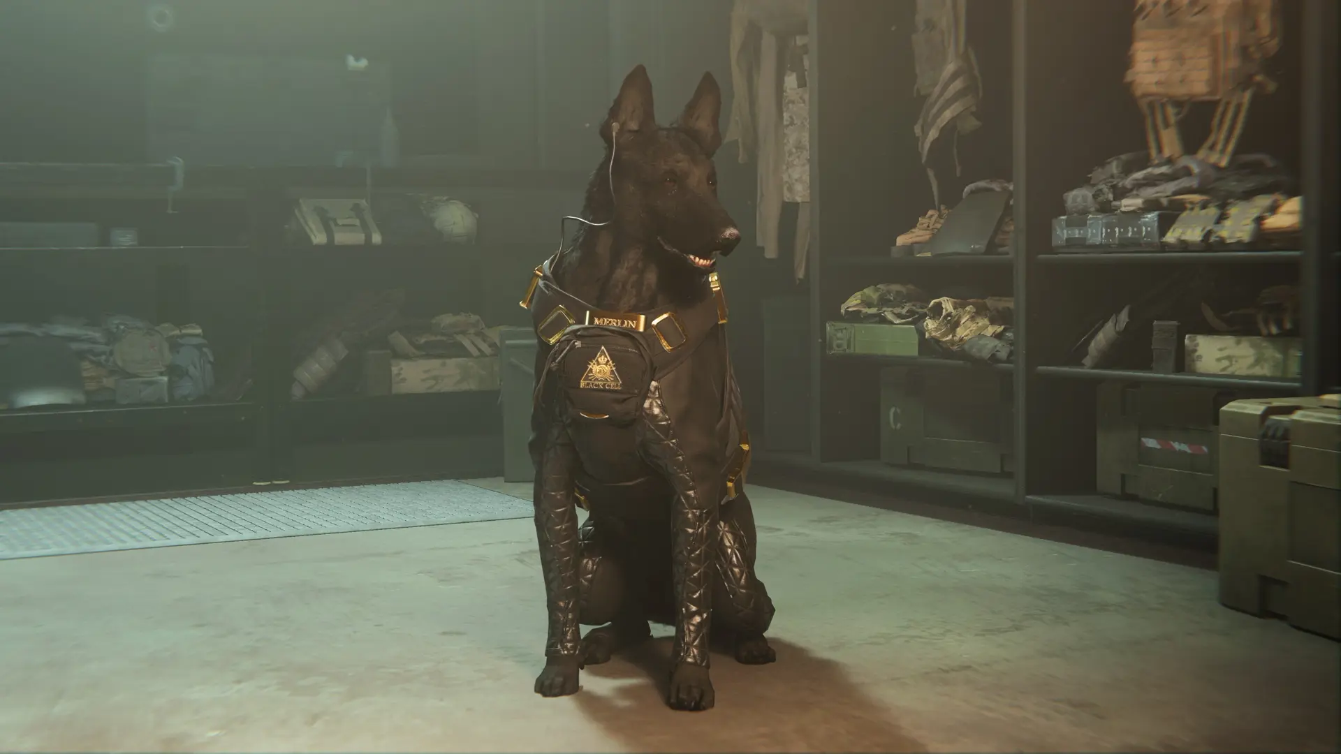 screenshot showing a tactical pet from warzone 2