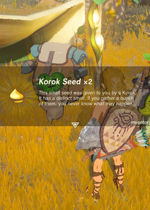 Where are the Korok Seeds in the Great Sky Island in Zelda: Tears of the Kingdom