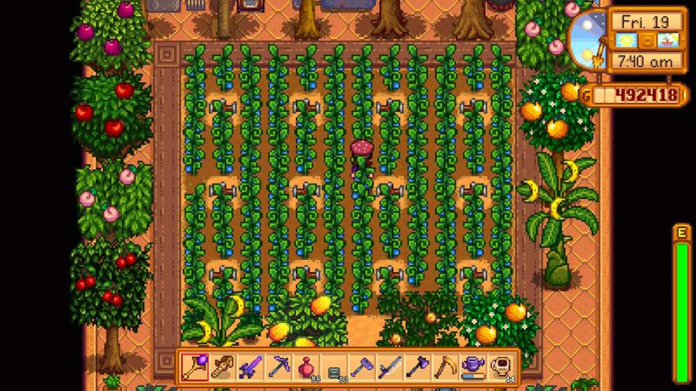 How to find Ancient Seeds & grow Ancient Fruit in Stardew Valley