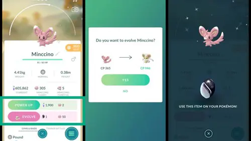 pokemon go unova stones: using a unova stone to evolve a minccino