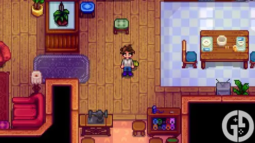 Image of the Grey Hoodie in Stardew Valley