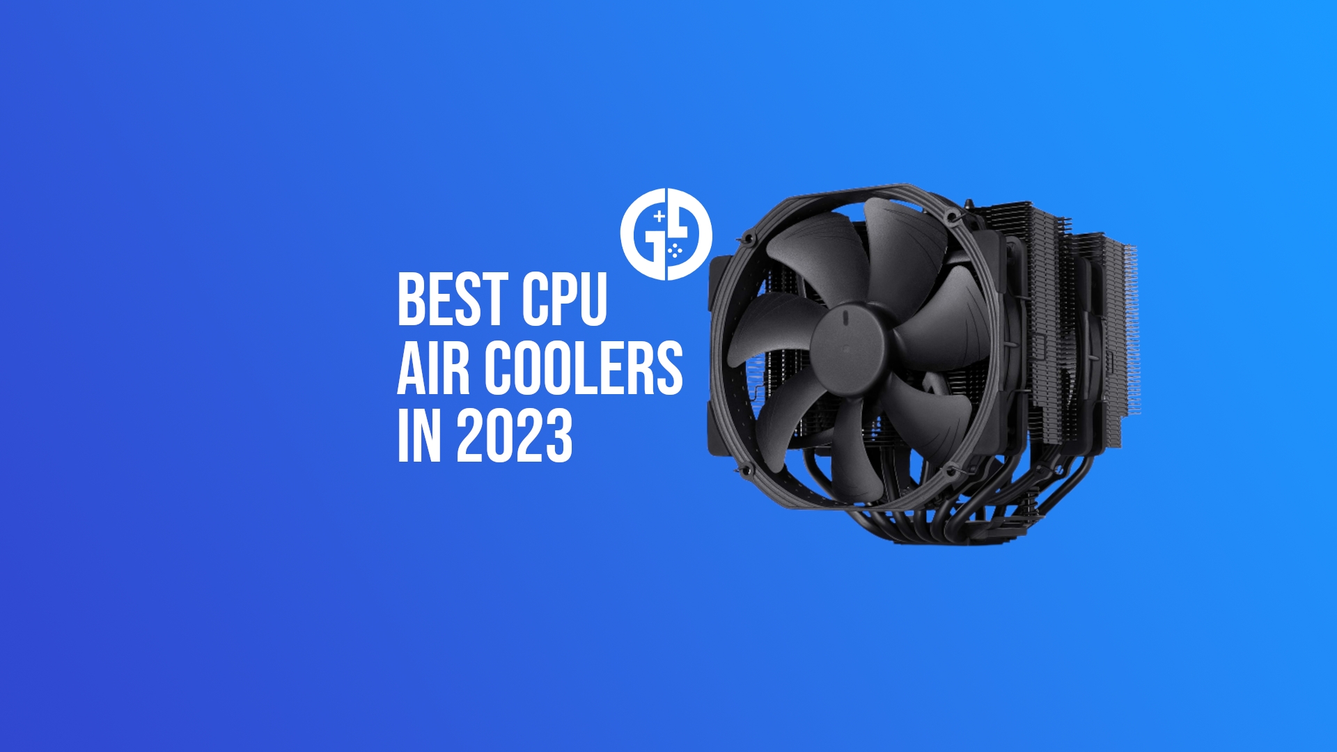 5 Best Coolers of 2023