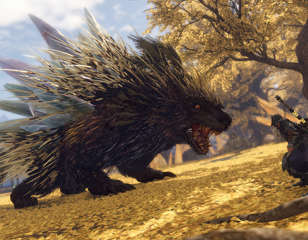 wild-hearts-porcupine-monster.jpg