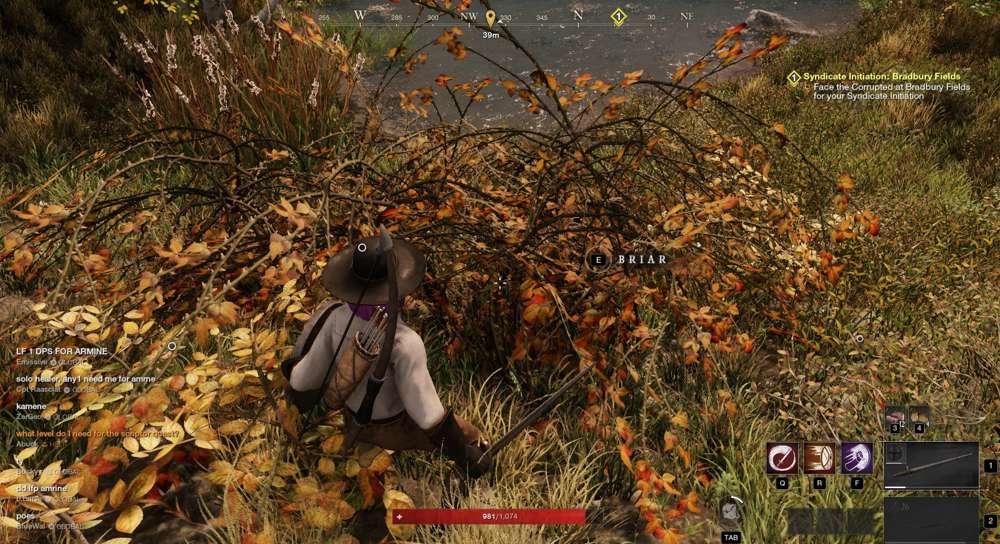 How to find Briar Branches in New World