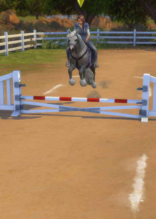 How to train horses in The Sims 4 Horse Ranch