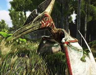 ark-pteranodon.jpg