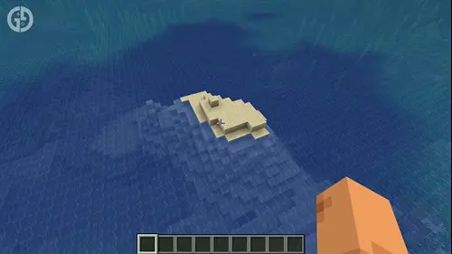 A tiny island, one of the best Minecraft seeds