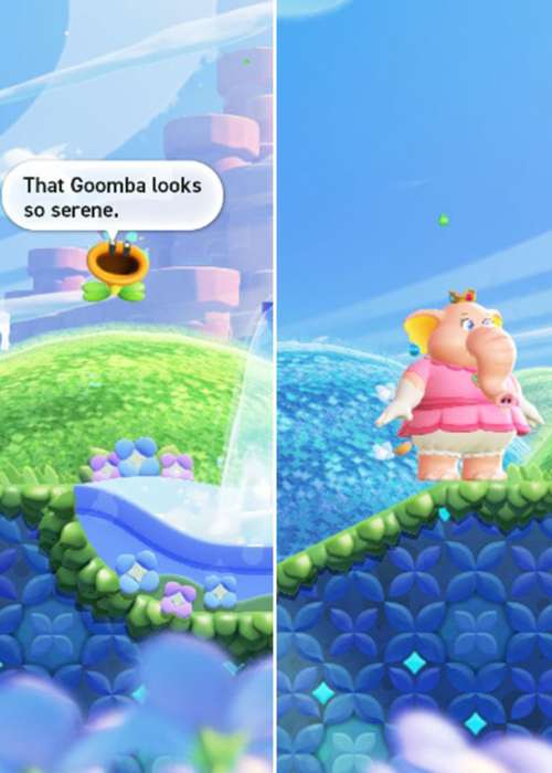 Who voices the Flower in Super Mario Bros Wonder?