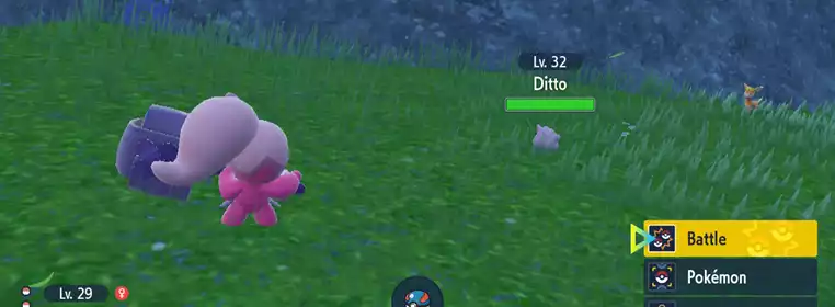 How To Get Ditto In Pokemon Scarlet & Violet