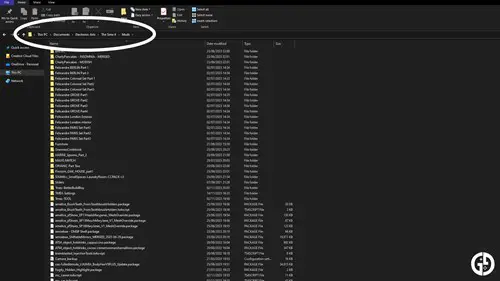 Screenshot showing the mod folder root location for The Sims 4