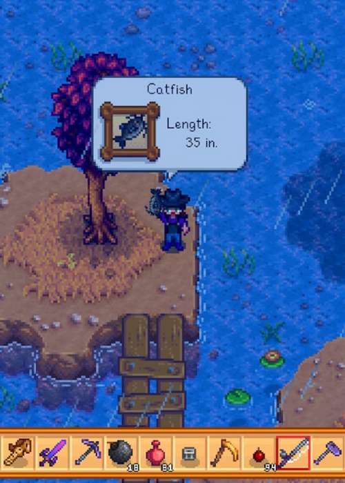 How to find a Catfish in Stardew Valley