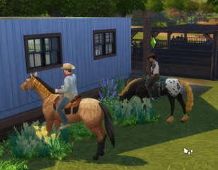 sims-4-horse-ranch-prairie-grass.jpg