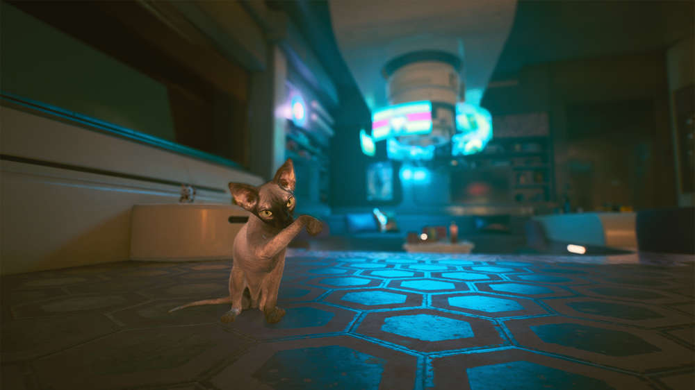 Cyberpunk 2077 Nibbles: How To Get Your Very Own Future Cat