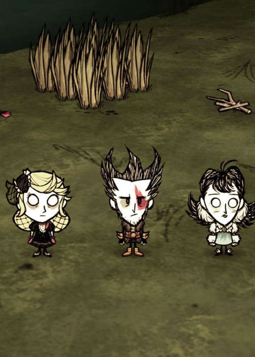 Are there any Don't Starve Together codes?