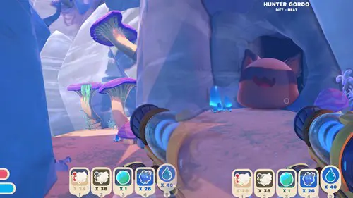 Slime Rancher 2: Hunter Gordo