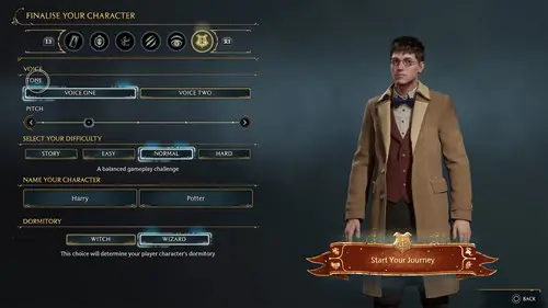 How To Make Harry Potter In Hogwarts Legacy