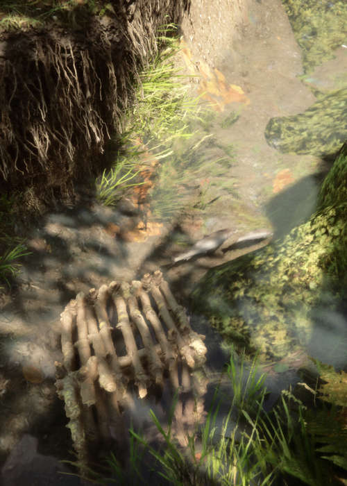 Here's how you make & place a fish trap in Sons of the Forest