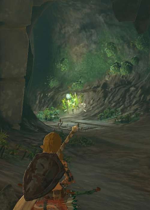 How to get & use Brightbloom Seeds in Zelda: Tears of the Kingdom