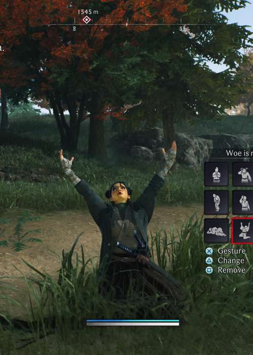 How to gesture in Rise of the Ronin