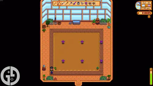 Greenhouse layout for Iridium Sprinklers in Stardew Valley