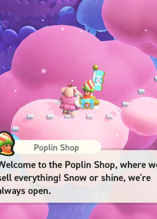 How to find all Poplin Shops in Super Mario Wonder