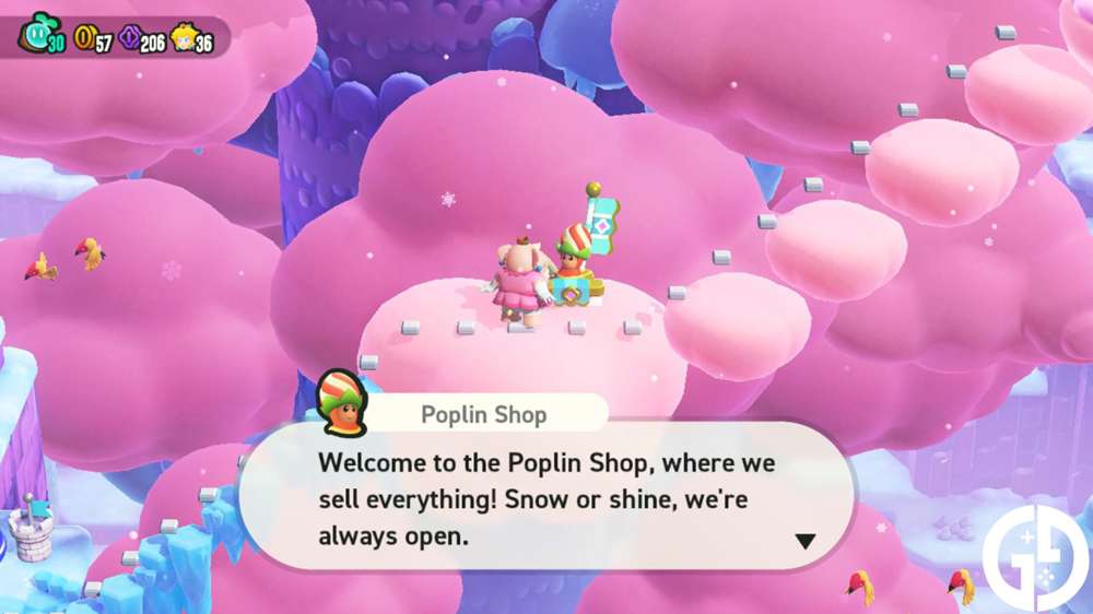 How to find all Poplin Shops in Super Mario Wonder