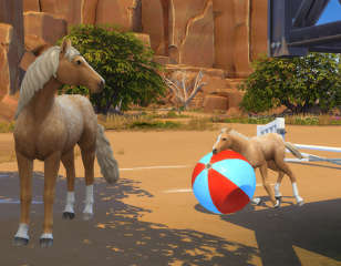 sims-4-horse-foal.jpg