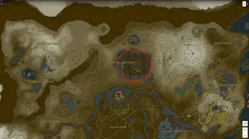 a screenshot of the Zelda: Tears of the Kingdom map showing the location of Korok Fronds