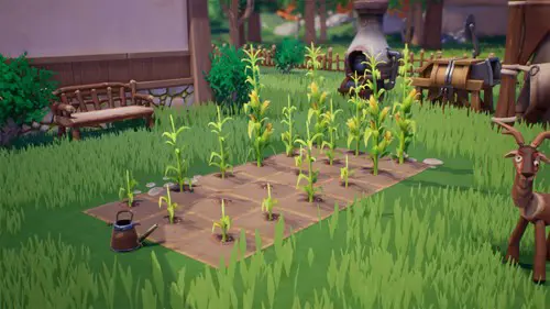 Image of corn crops, included in the Palia 0.168 update