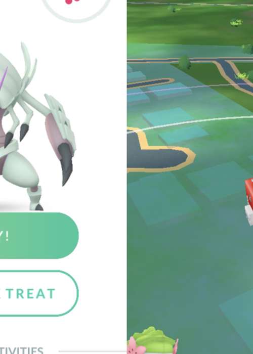 How to play with your buddy in Pokemon GO