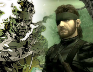 why-mgs-3_.png