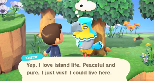 Animal Crossing New Horizons conversation