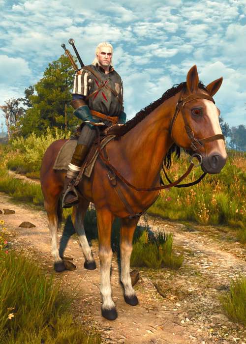 The Witcher 3: Where The Cat And Wolf Play Walkthrough