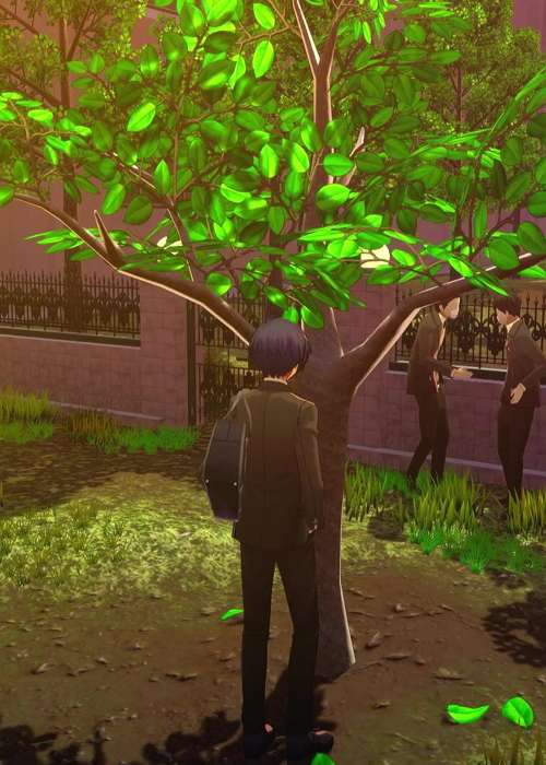 Where to find the persimmon tree in Persona 3 Reload