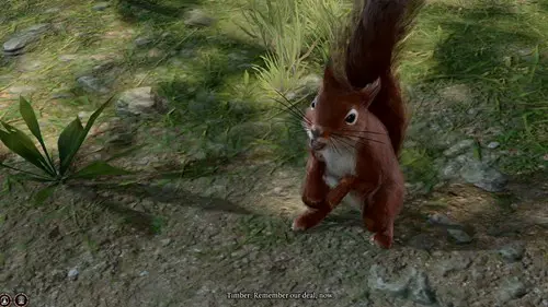 Image of the player speaking to Timber the squirrel in Baldur's Gate 3