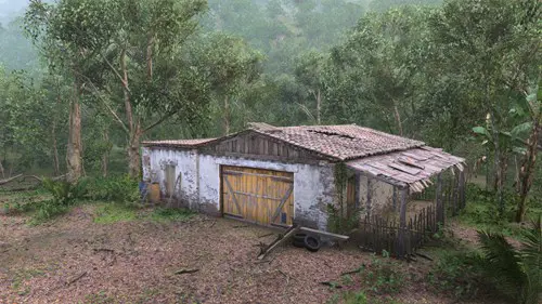 A barn in a jungle.