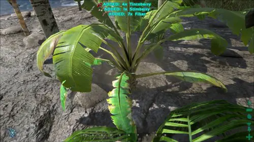 How To Get Fiber In ARK Survival Evolved