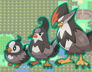 starly-staravia-staraptor.jpg