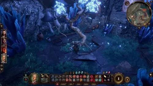 The Sussur Tree in Underdark, where you can find the Sussur Bloom in Baldur's Gate 3