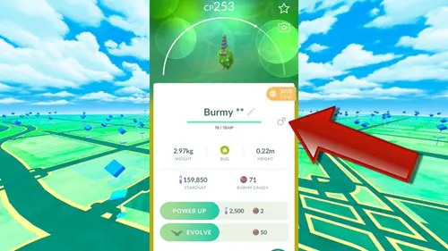 male burmy male symbol pokemon go