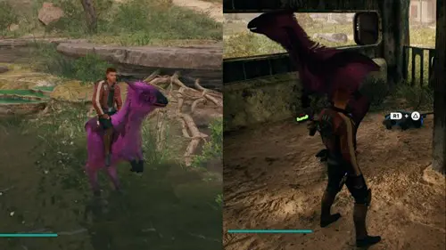 Finding a pink Nekko to receive the hidden Jedi: Survivor stables treasure