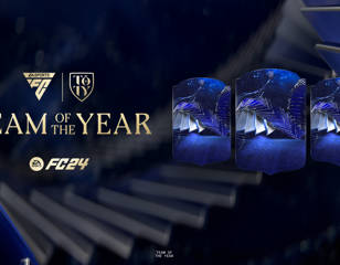 toty-2.jpg