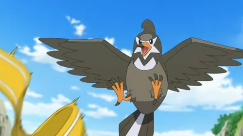 staravia in the pokemon anime