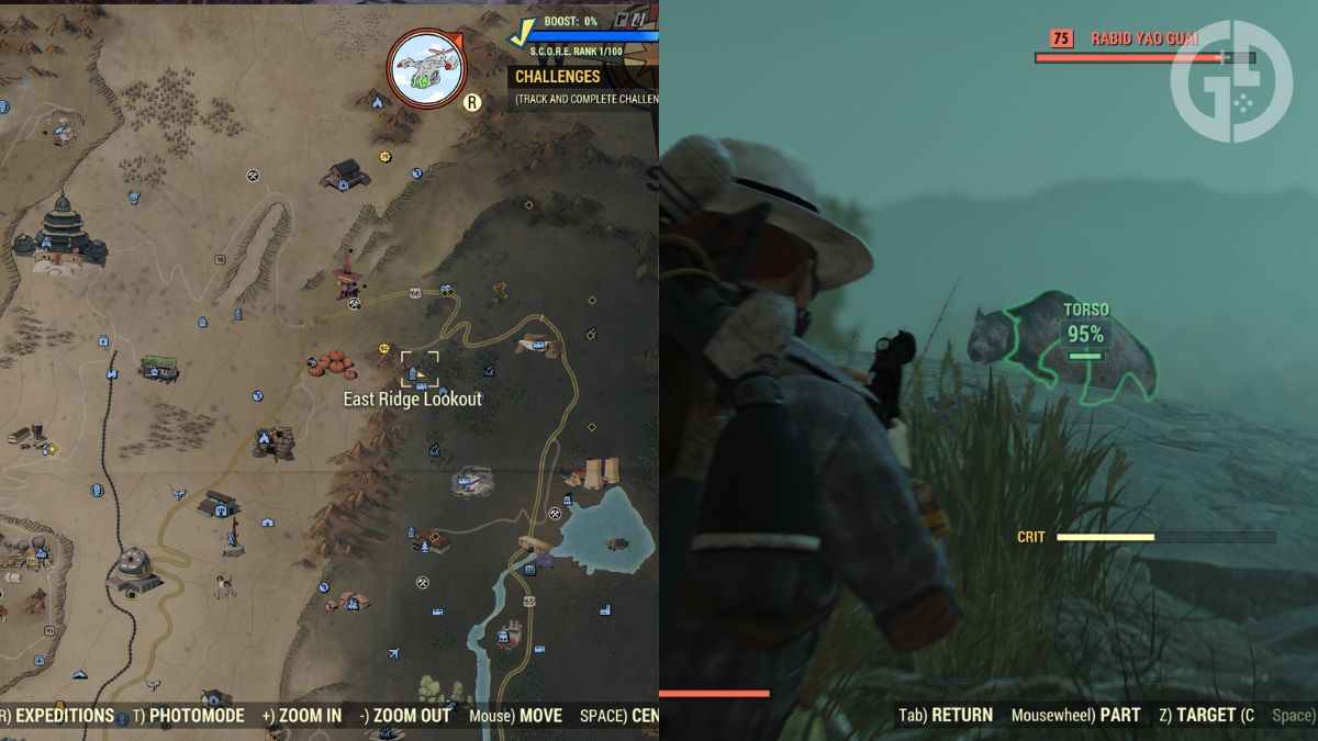 Все места появления Яо Гуай в Fallout 76 и где их найти