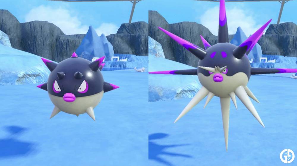 How to evolve Hisuian Qwilfish into Overqwil in Pokemon Scarlet & Violet Indigo Disk