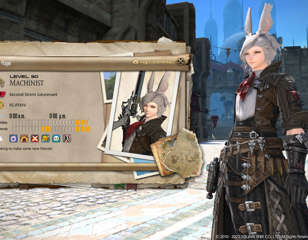 ffxiv-adventurer-plate-media-example.jpg