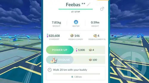 The option to evolve Feebas into Milotic in Pokemon GO