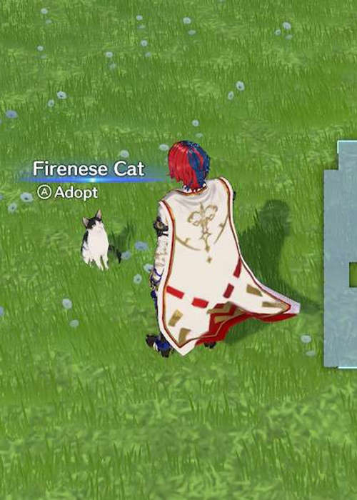 How to adopt pets in Fire Emblem Engage